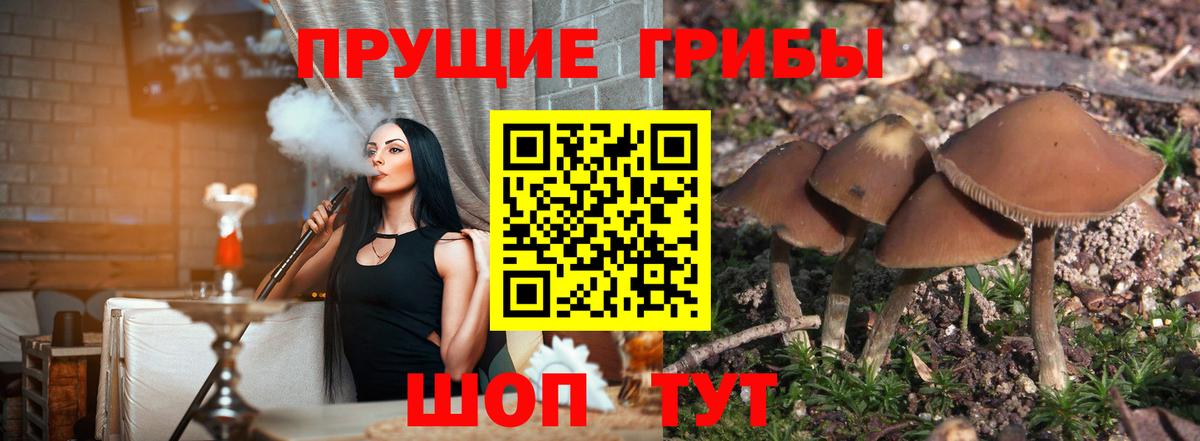 Галлюциногенные грибы прущие грибы Алексеевка